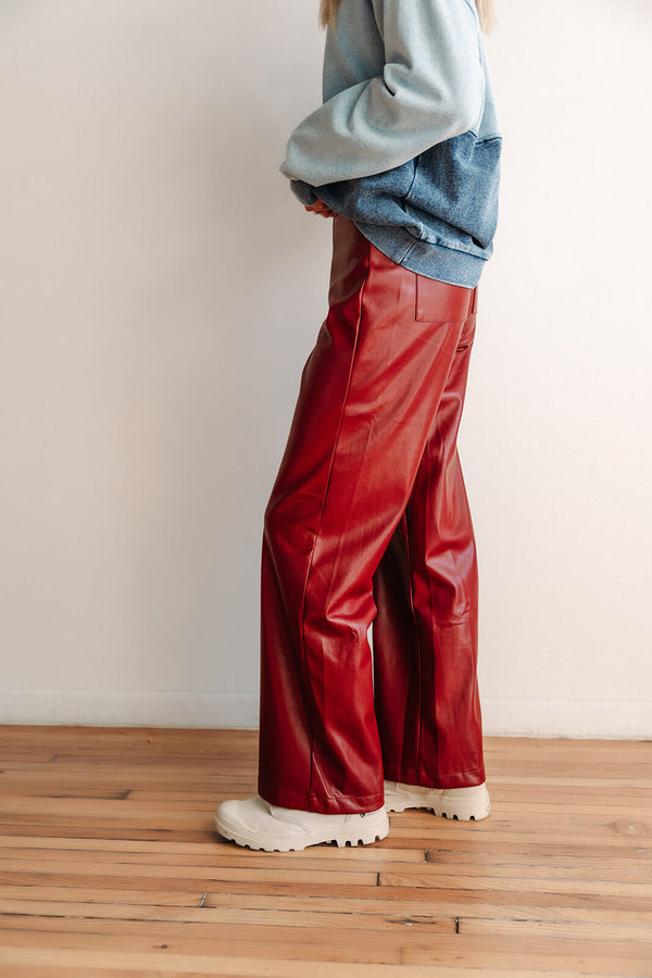 arlo-sadie-and-sage-night-vsion-faux-leather-pants