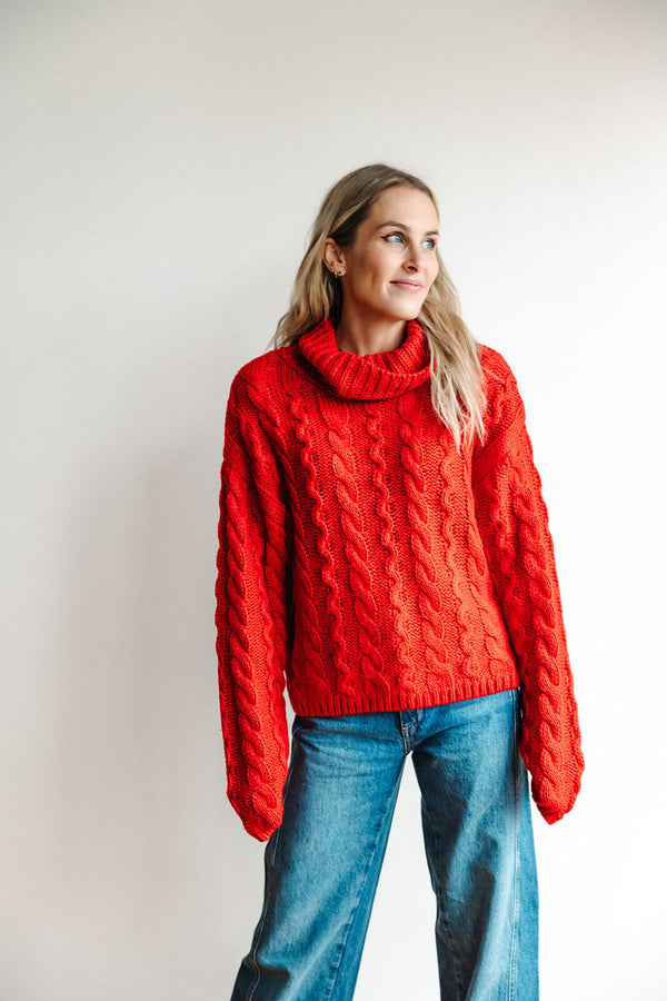 arlo-z-supply-tied-to-you-cable-knit-turtleneck-sweater